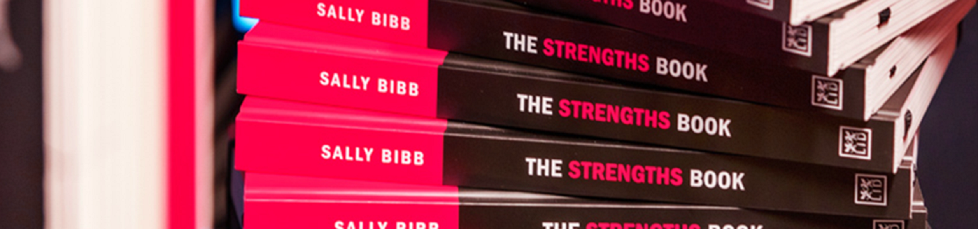 sally bibb the strengths book cover detail